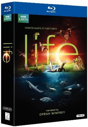 Cover: BBC.Life.Triumph.des.Lebens.Season1.Complete.GERMAN.DL.DUBBED.DOKU.1080p.BluRay.x264-TVP Cover: BBC.Life.Triumph.des.Lebens.Season1.Complete.GERMAN.DL.DUBBED.DOKU.1080p.BluRay.x264-TVP