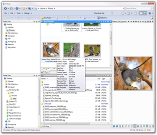 Cover: Directory.Opus.v10.0.GERMAN-DOA