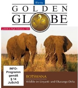 Cover: Golden Globe – Botswana 2009 1080p BluRay x264-InD