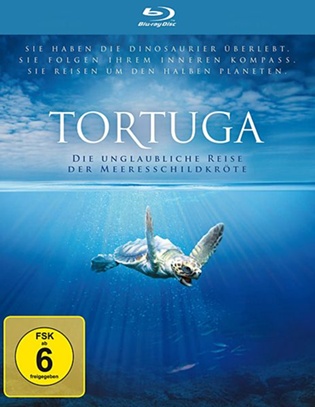 Cover: Tortuga – Die unglaubliche Reise der Meeresschildkröte 2009 1080p BluRay x264-HDC Cover: Tortuga – Die unglaubliche Reise der Meeresschildkröte 2009 1080p BluRay x264-HDC