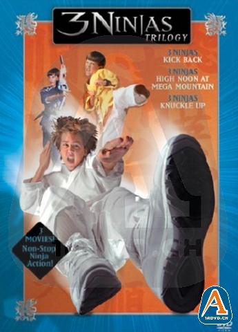 Cover: 3 Ninjas Knuckle Up 1995 GERMAN iNTERNAL DVDRip XViD-MULTiPLY